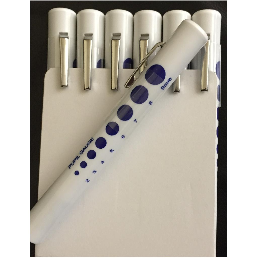 Disposable Pen Torch